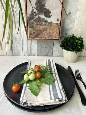 🌴Sleek Threshold Dinner Stoneware Plates | Houlton | 2pc | Black | Target
